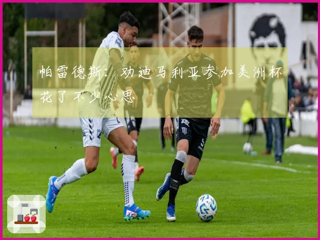 帕雷德斯：劝迪马利亚参加美洲杯花了不少心思